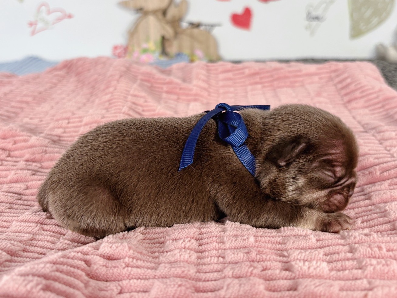 赤ちゃん写真1-2