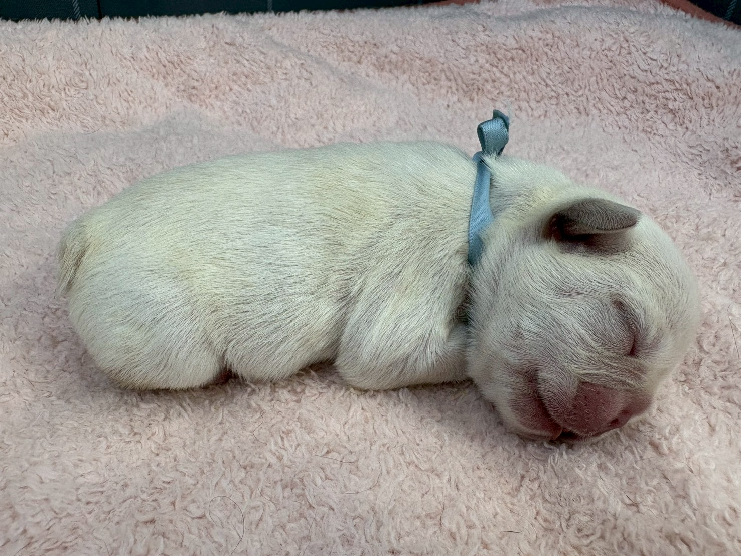 赤ちゃん写真1-2