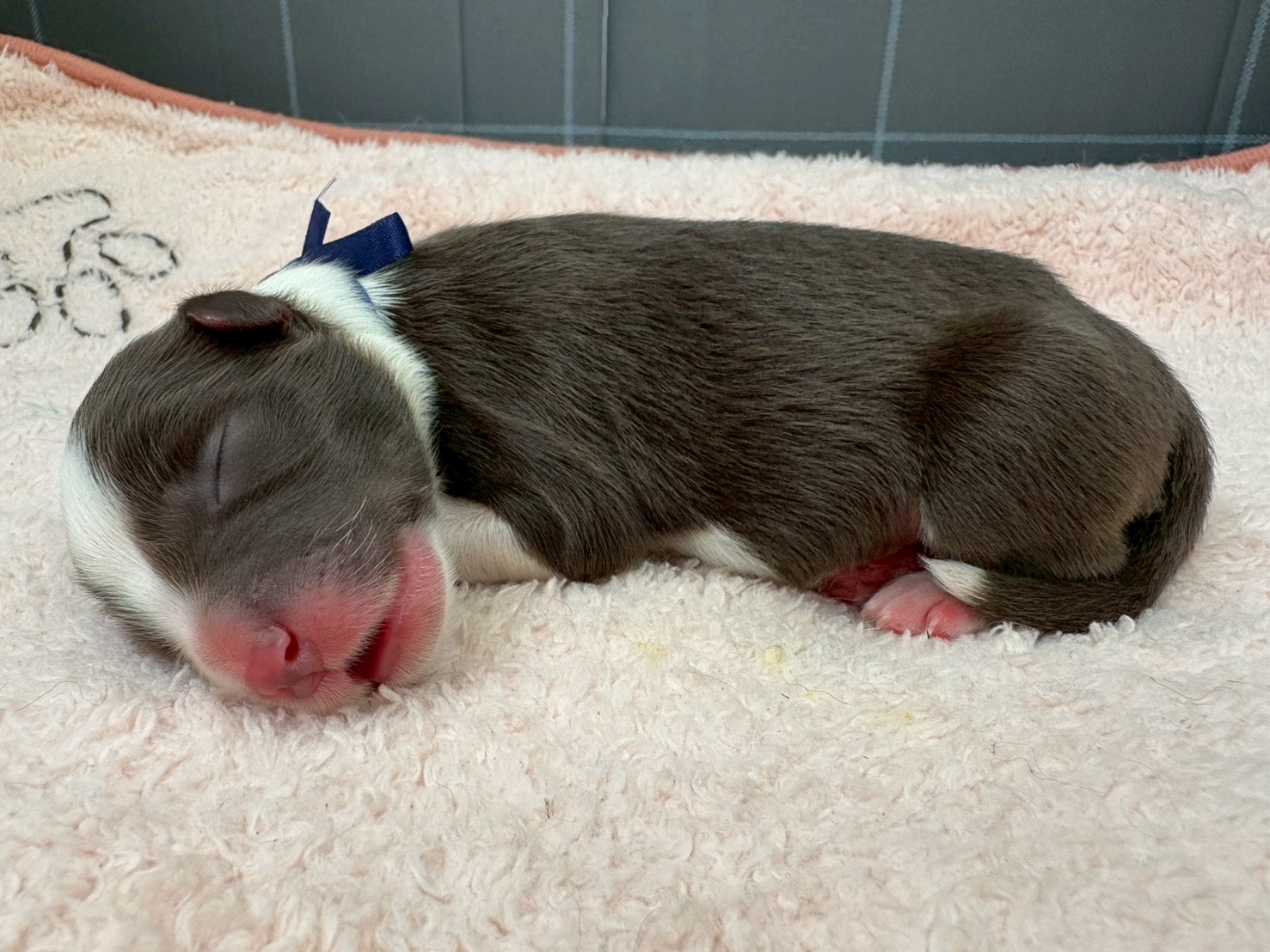 赤ちゃん写真1-2