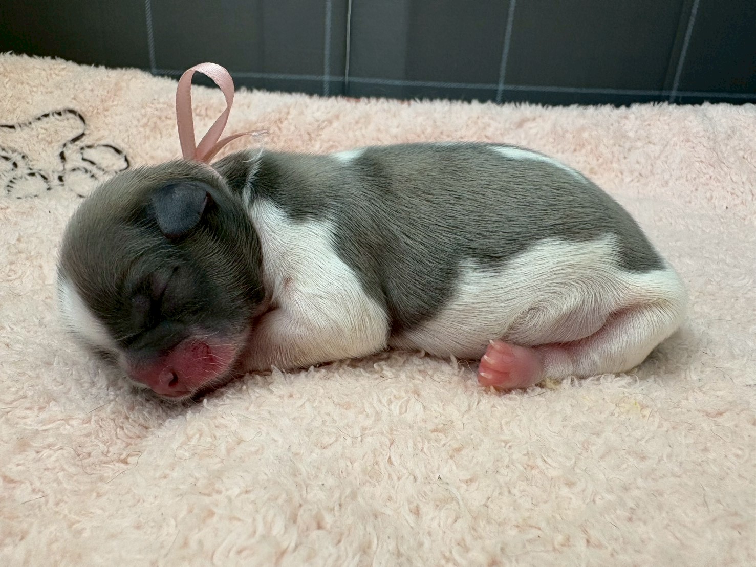 赤ちゃん写真1-2