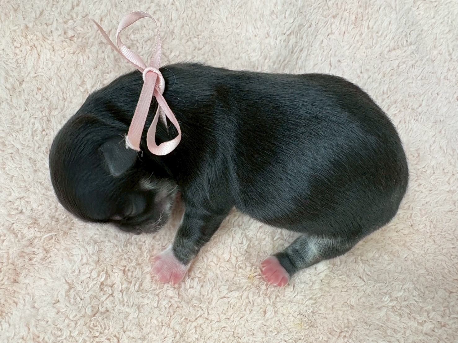 赤ちゃん写真1-3