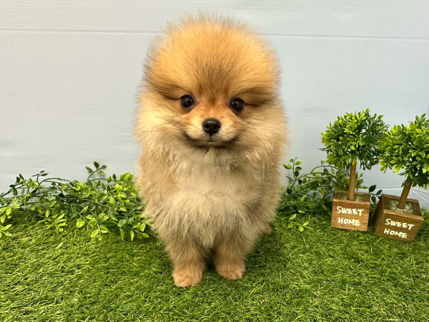 赤ちゃん写真3-1