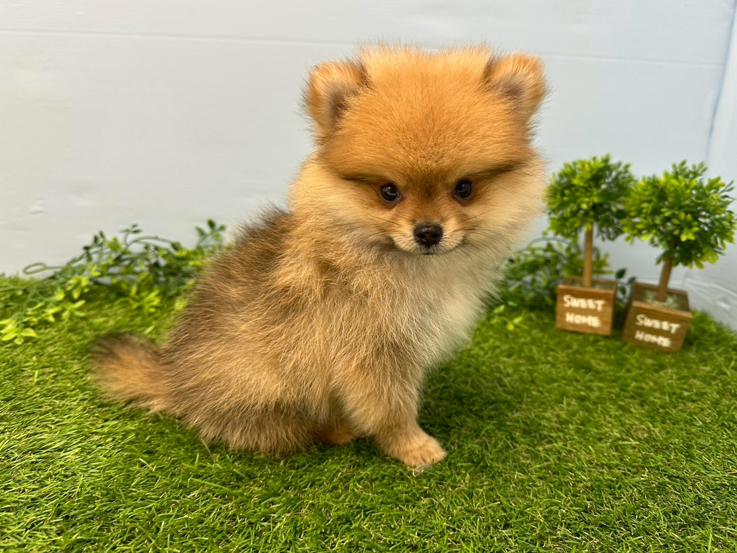 赤ちゃん写真3-2