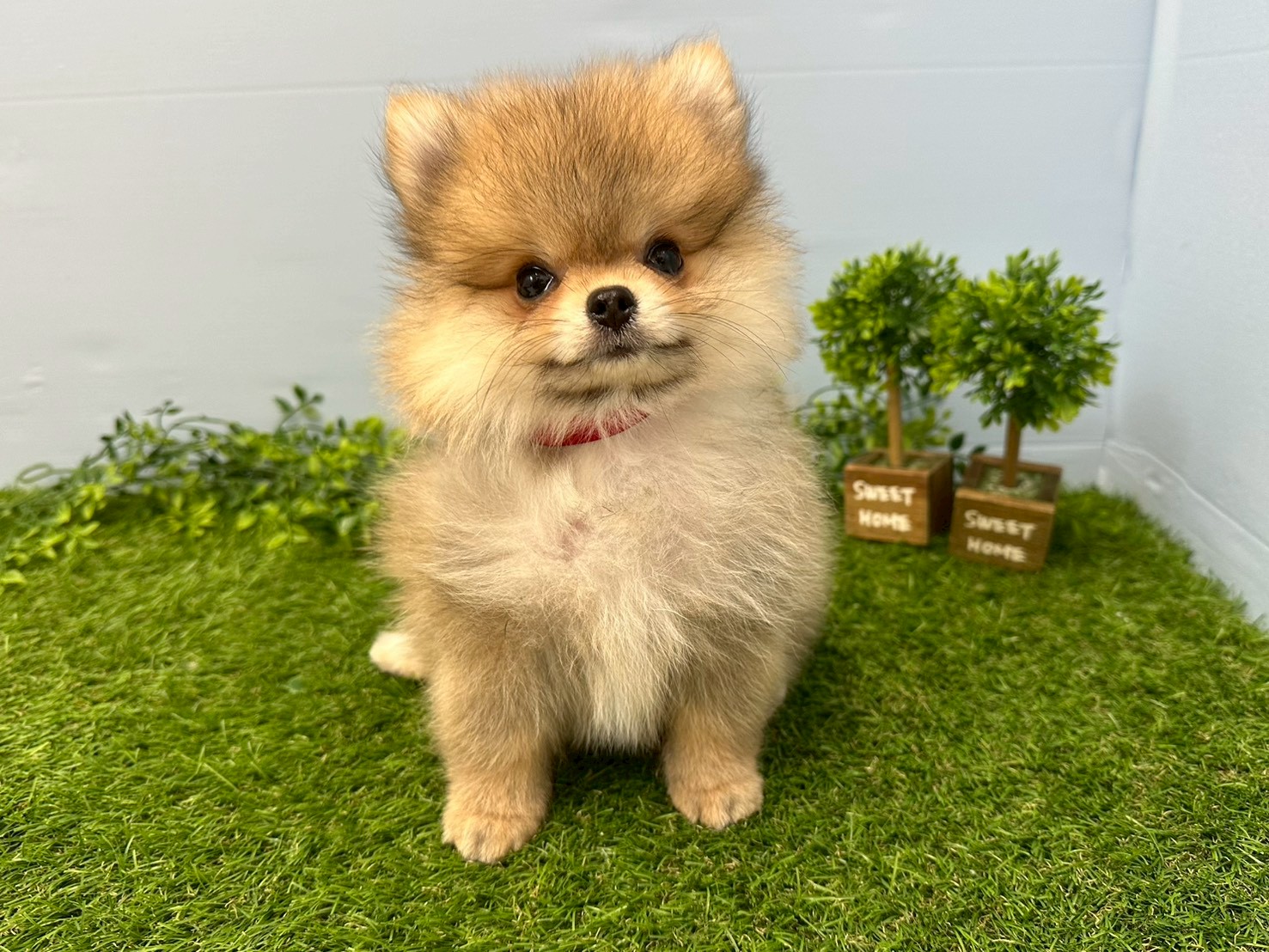 赤ちゃん写真3-1