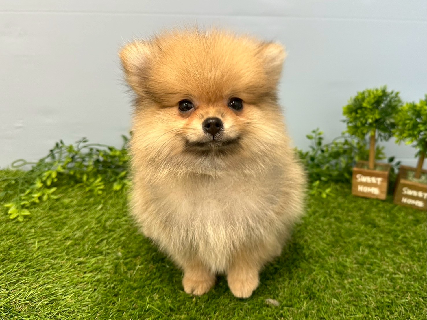 赤ちゃん写真3-1