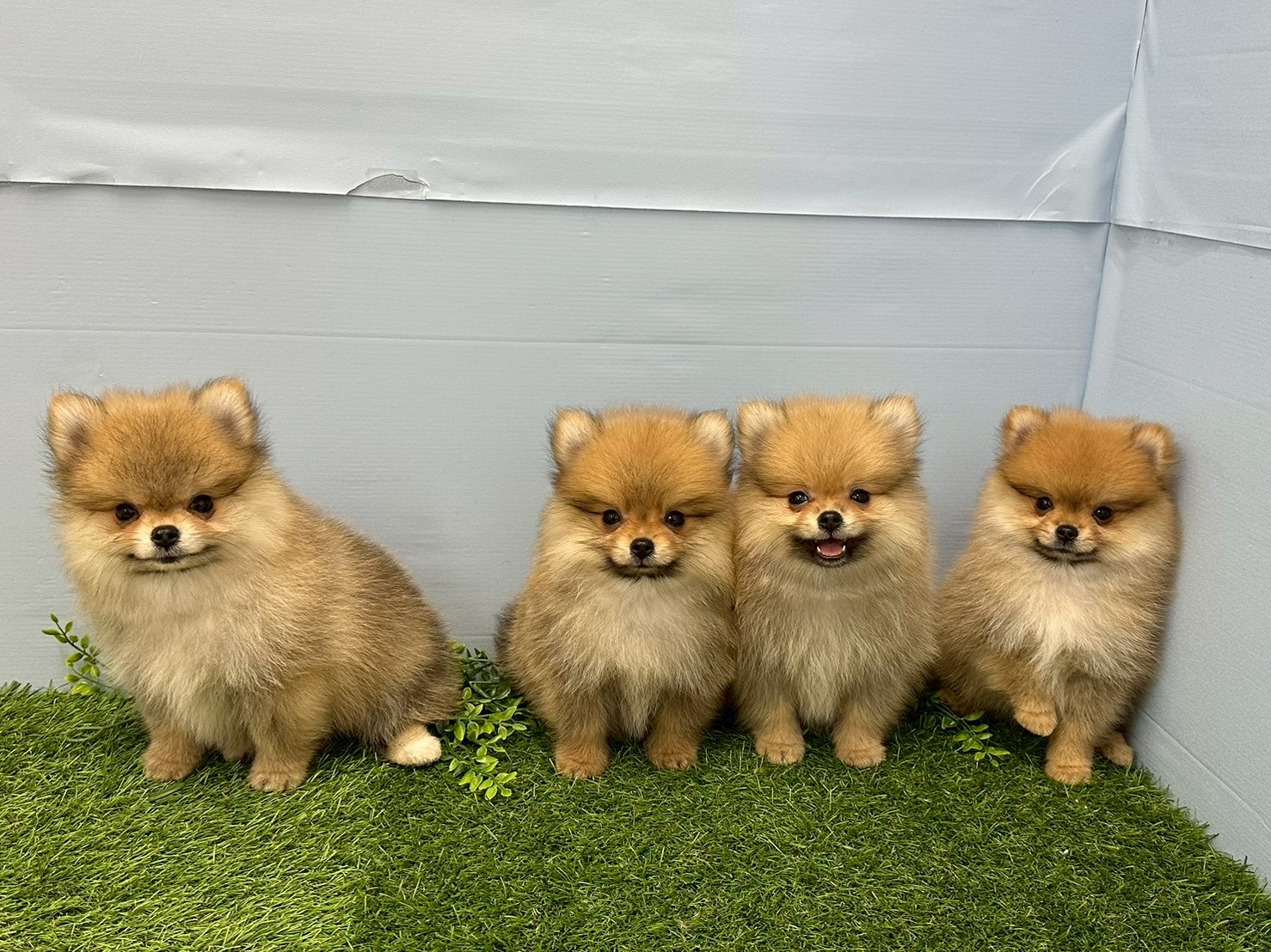 赤ちゃん写真3-3