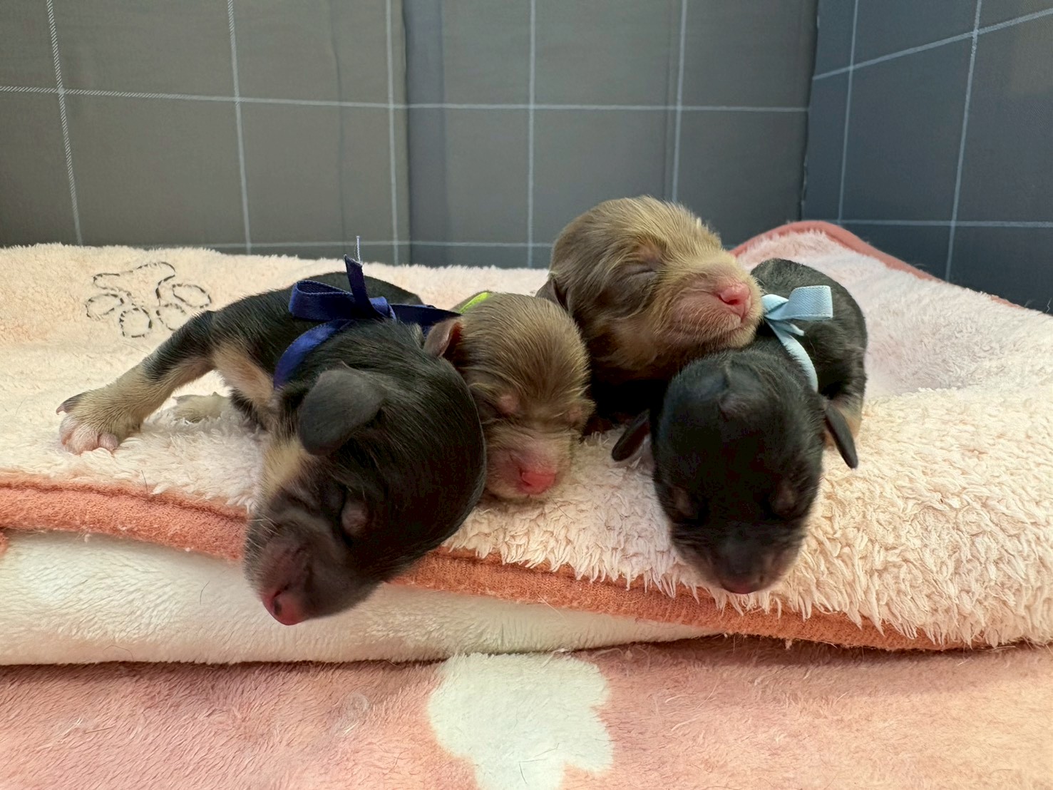 赤ちゃん写真1-3