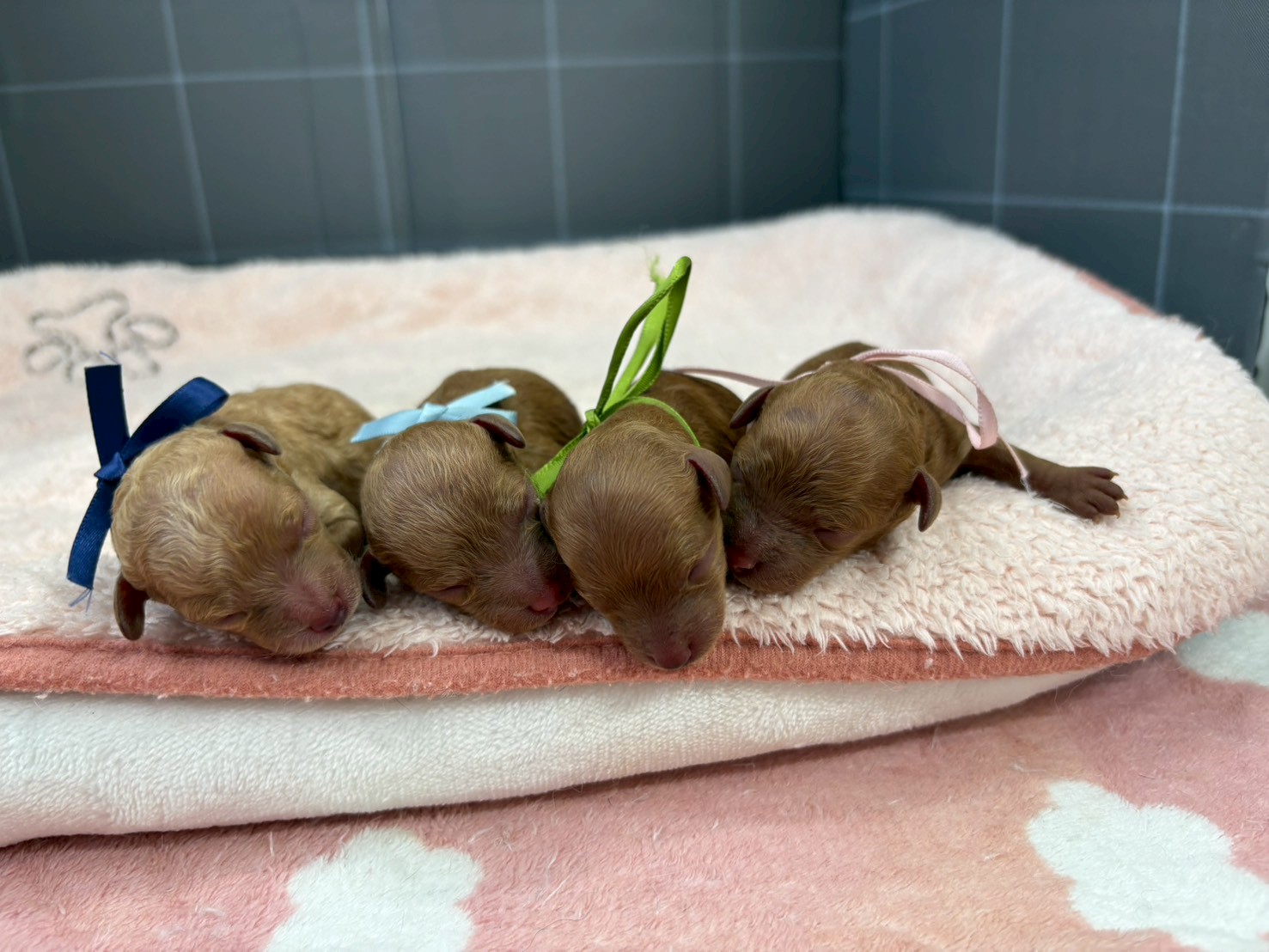赤ちゃん写真1-3