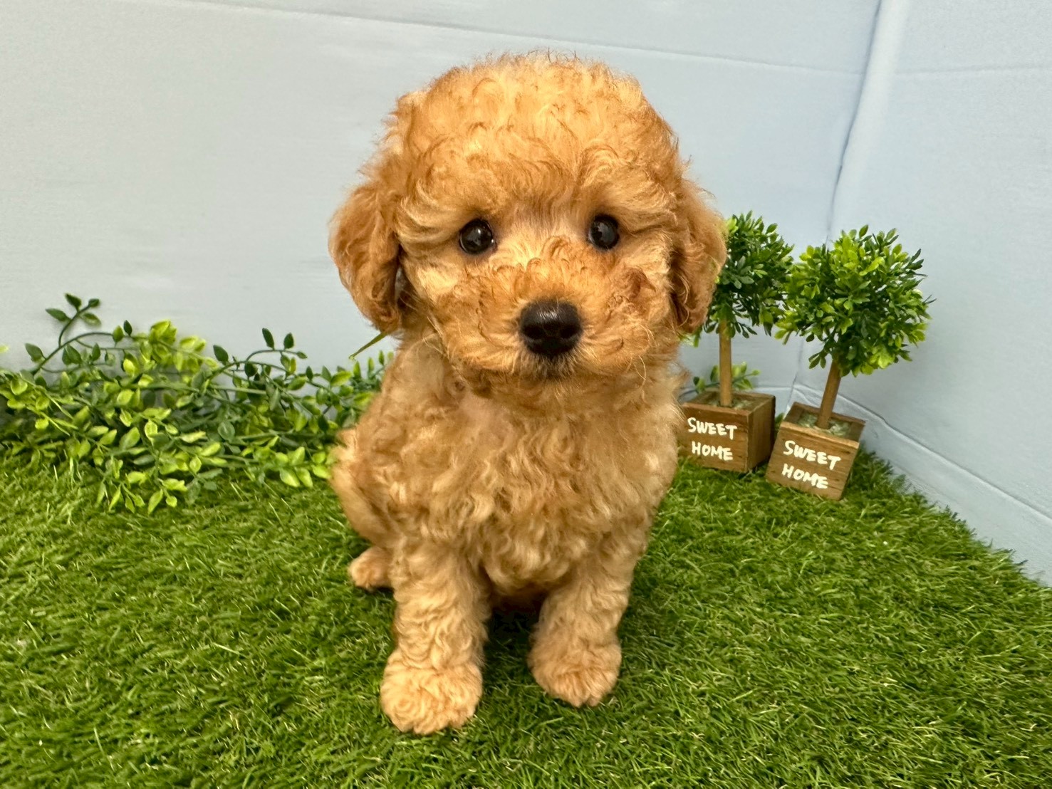 赤ちゃん写真3-1