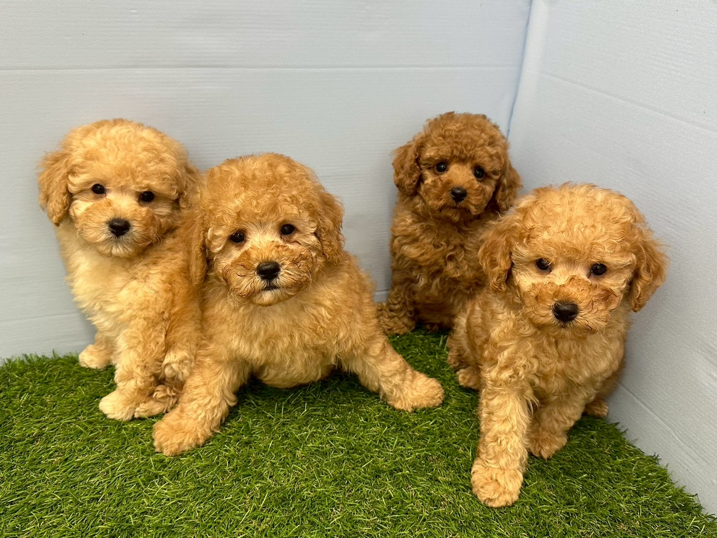 赤ちゃん写真3-3