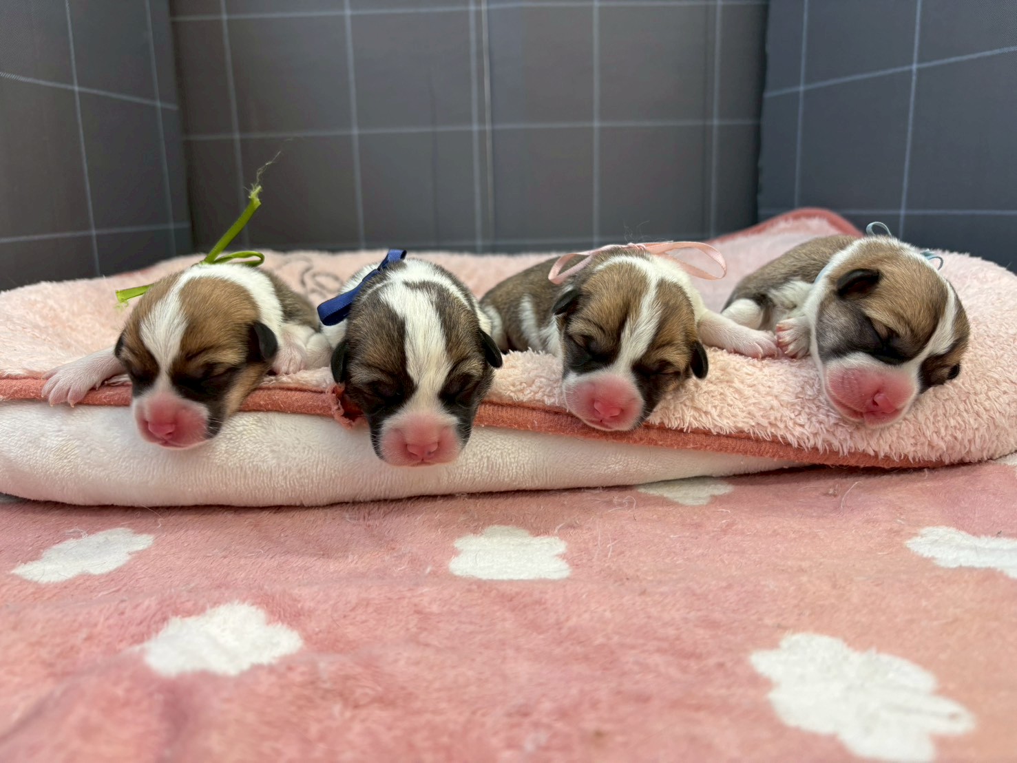 赤ちゃん写真1-3