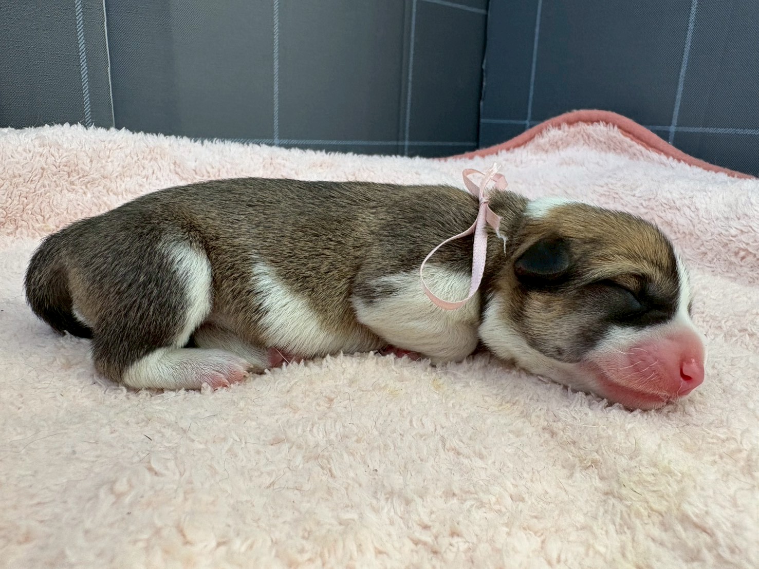 赤ちゃん写真1-2