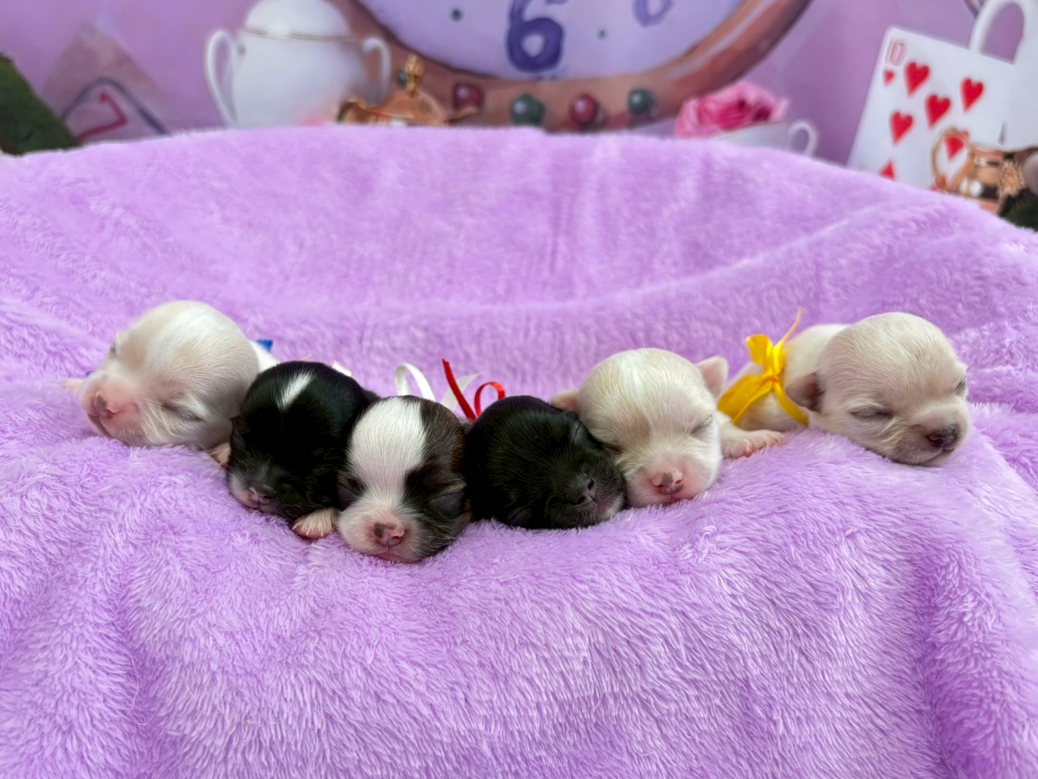 赤ちゃん写真1-3
