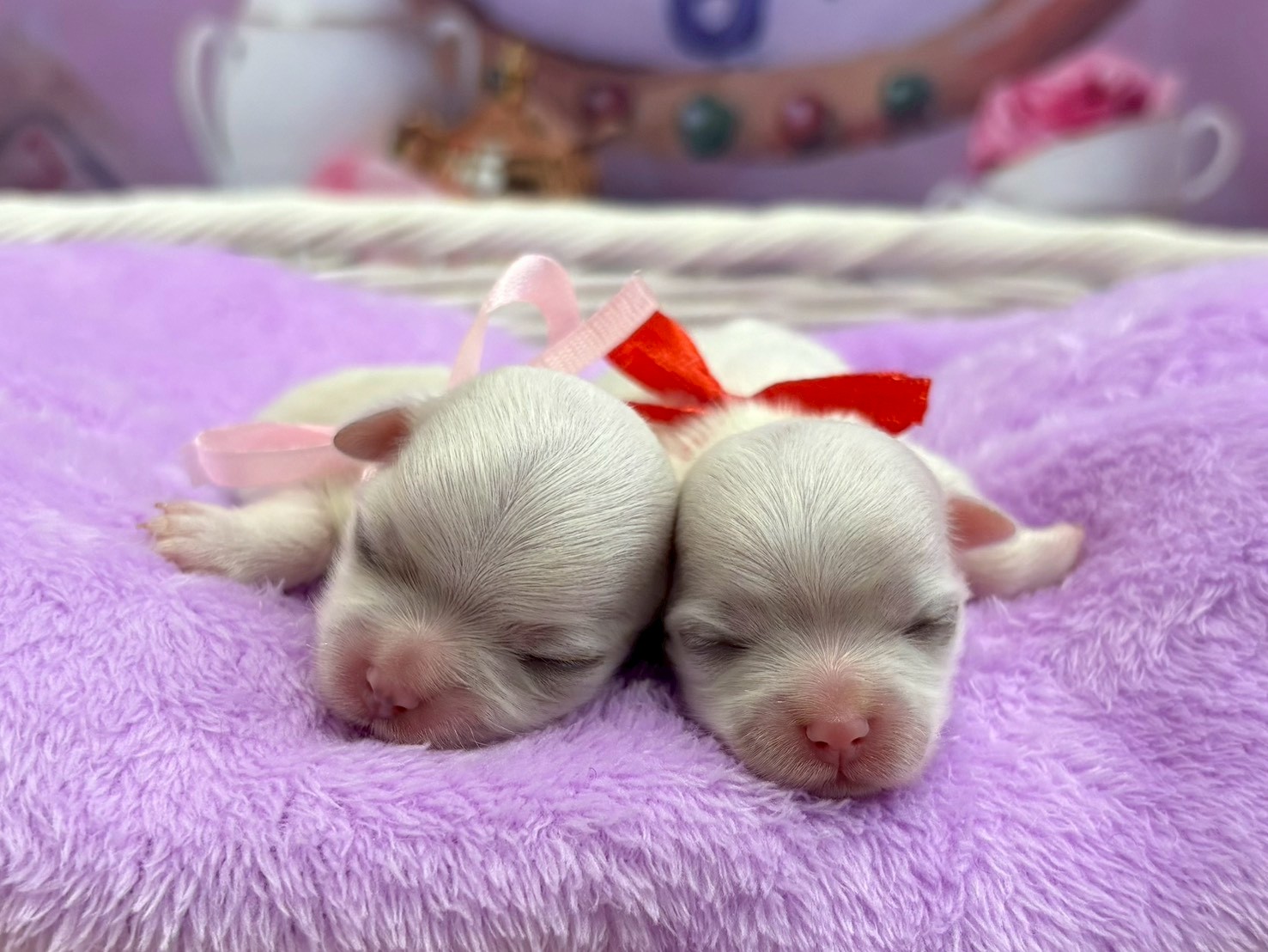 赤ちゃん写真1-3