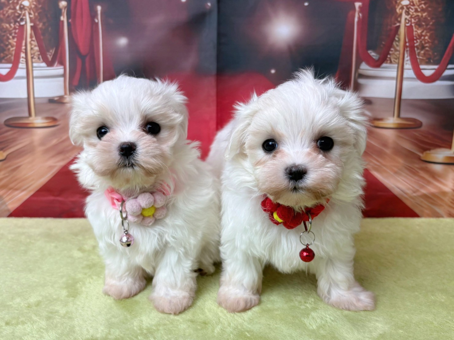 赤ちゃん写真3-3