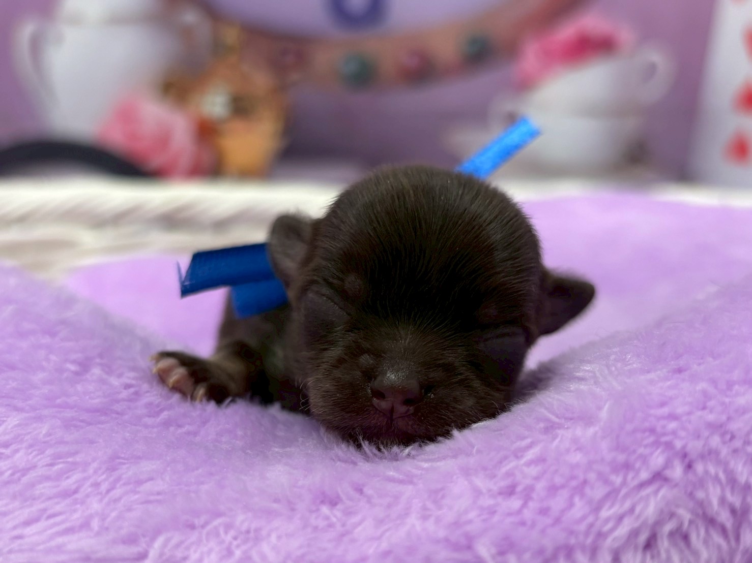 赤ちゃん写真1-1