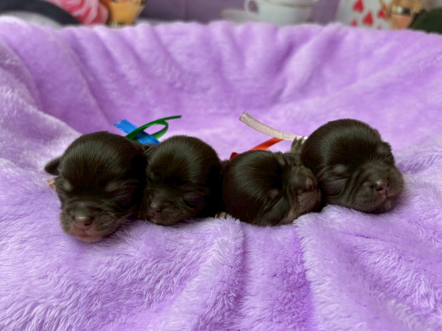 赤ちゃん写真1-3