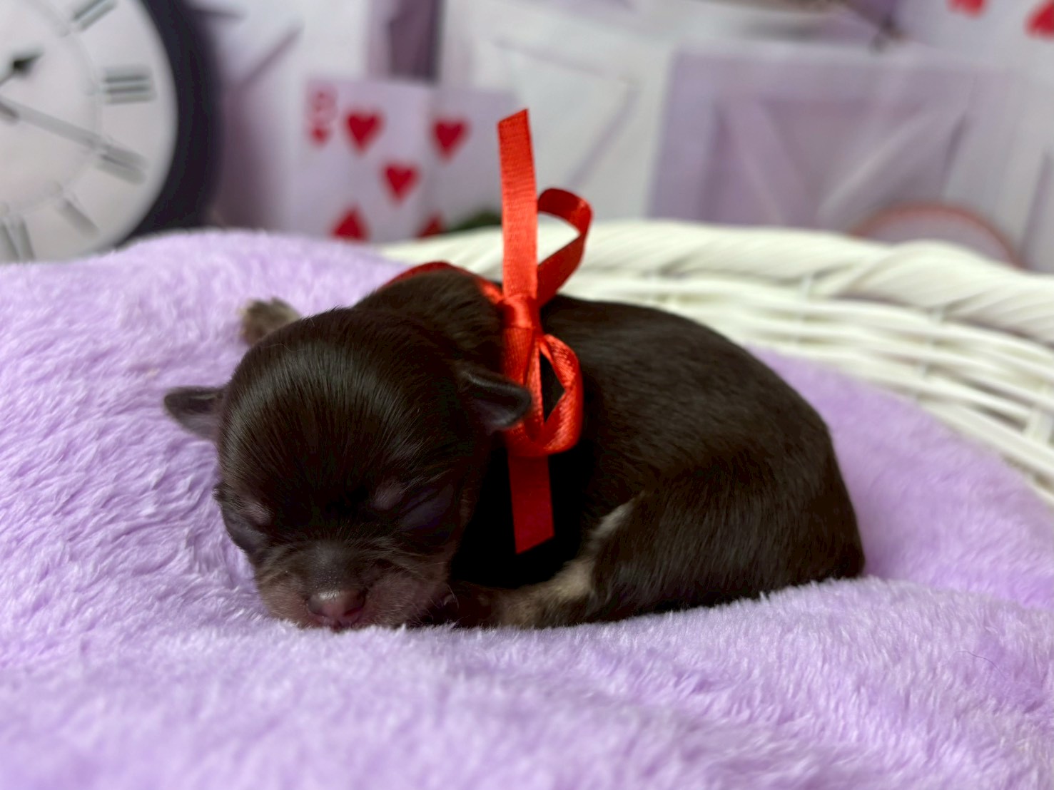 赤ちゃん写真1-2