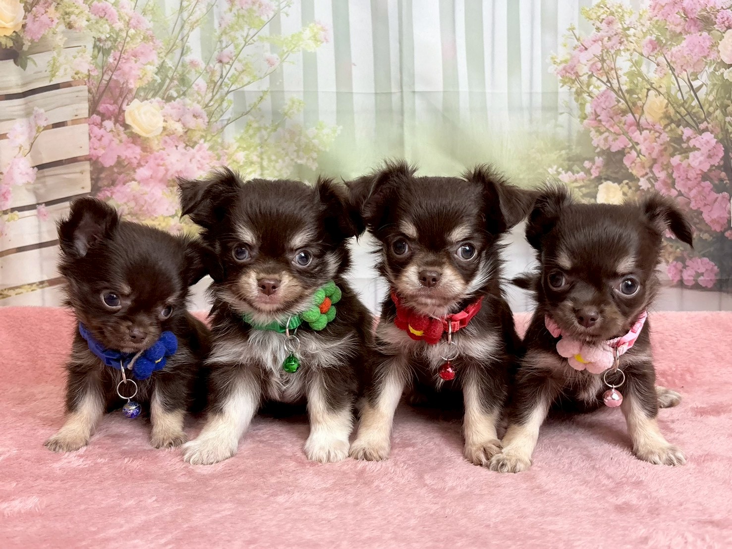 赤ちゃん写真3-3