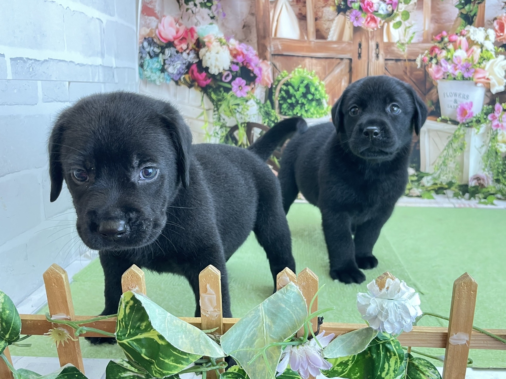 赤ちゃん写真2-3