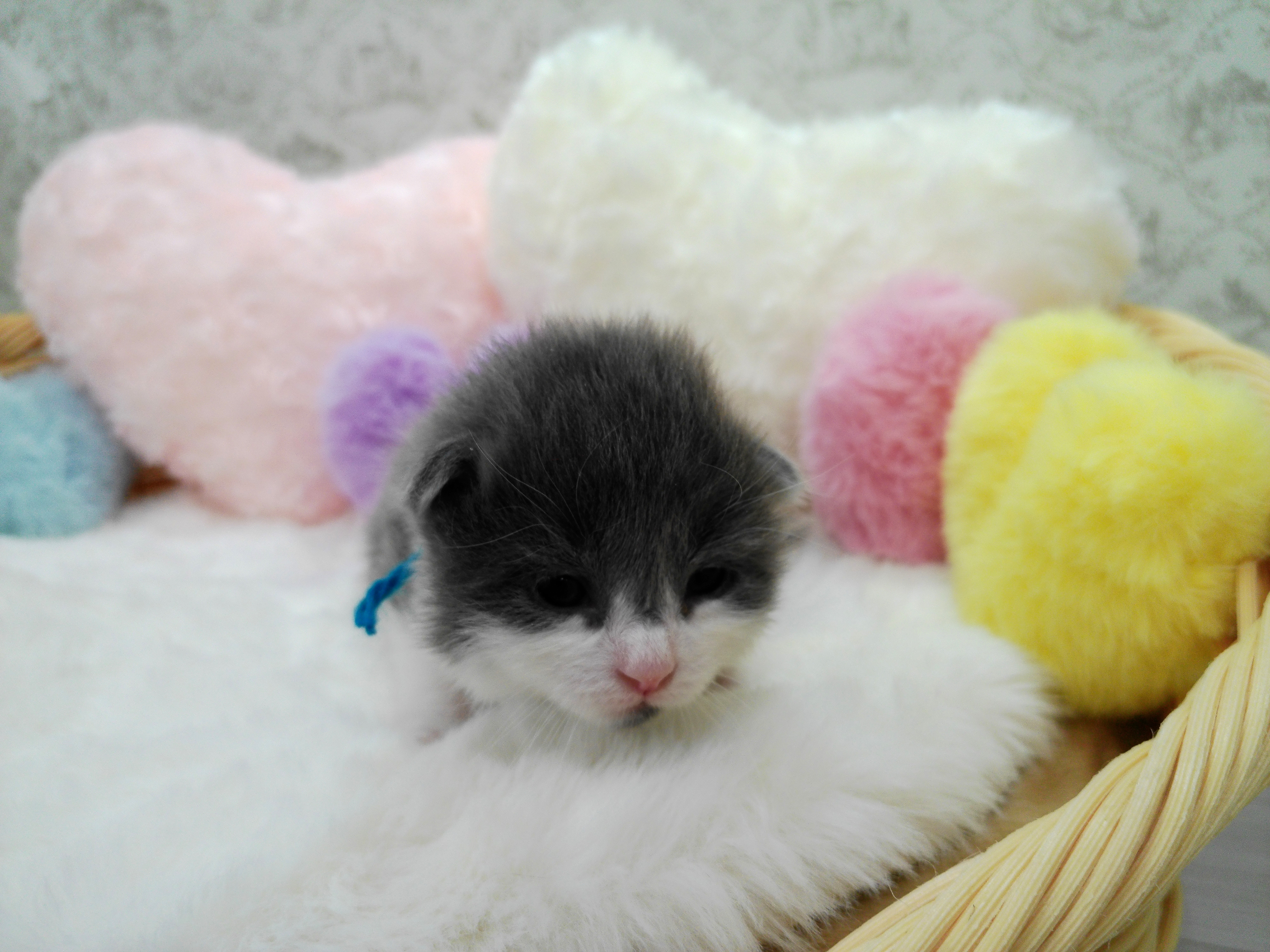 赤ちゃん写真1-1