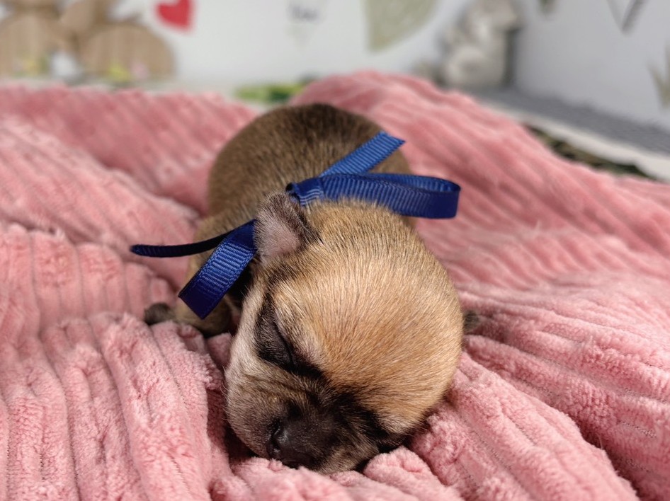 赤ちゃん写真1-1