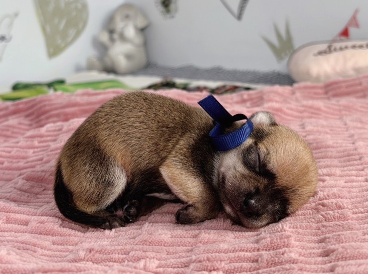 赤ちゃん写真1-2