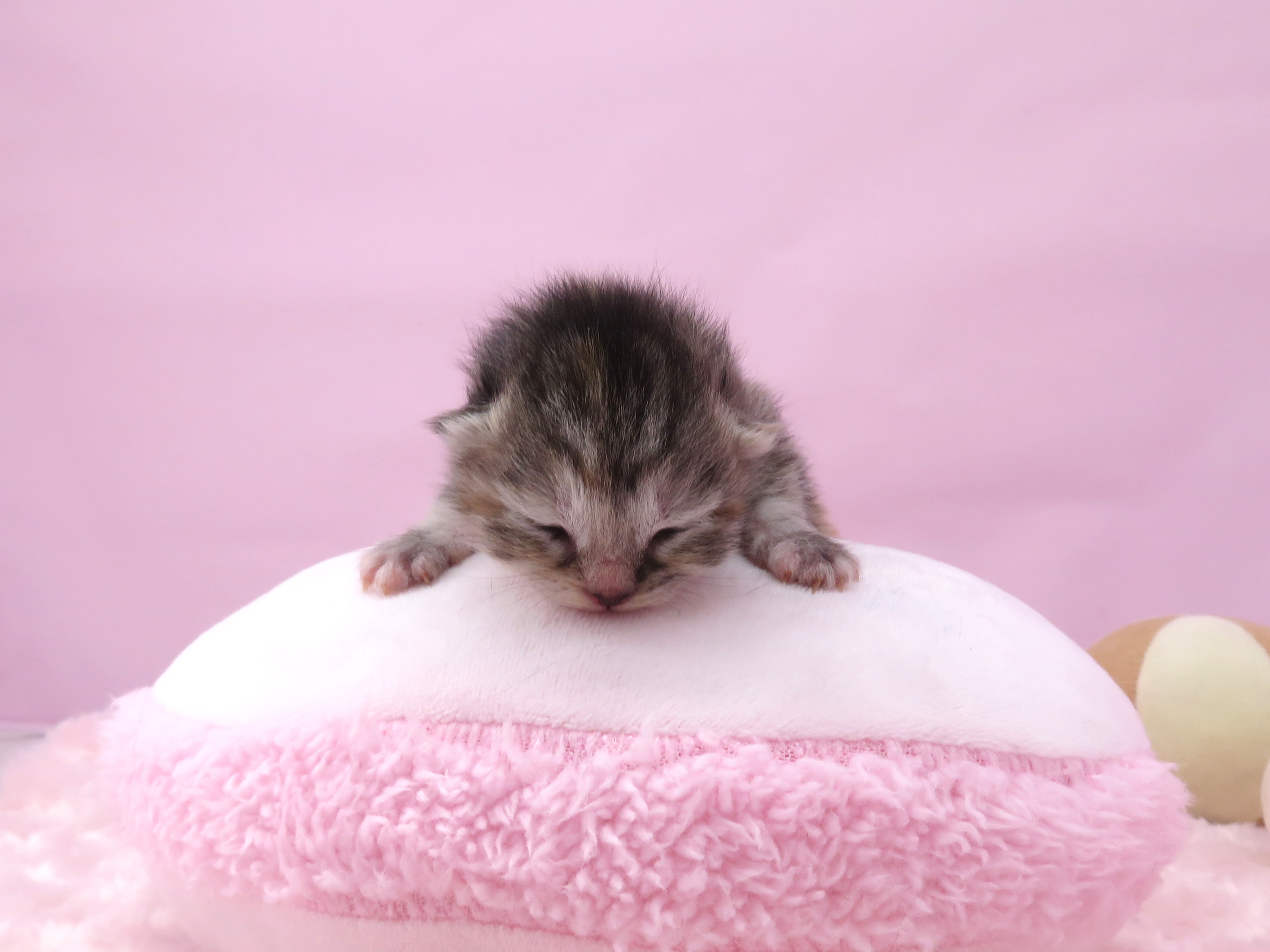 赤ちゃん写真1-1