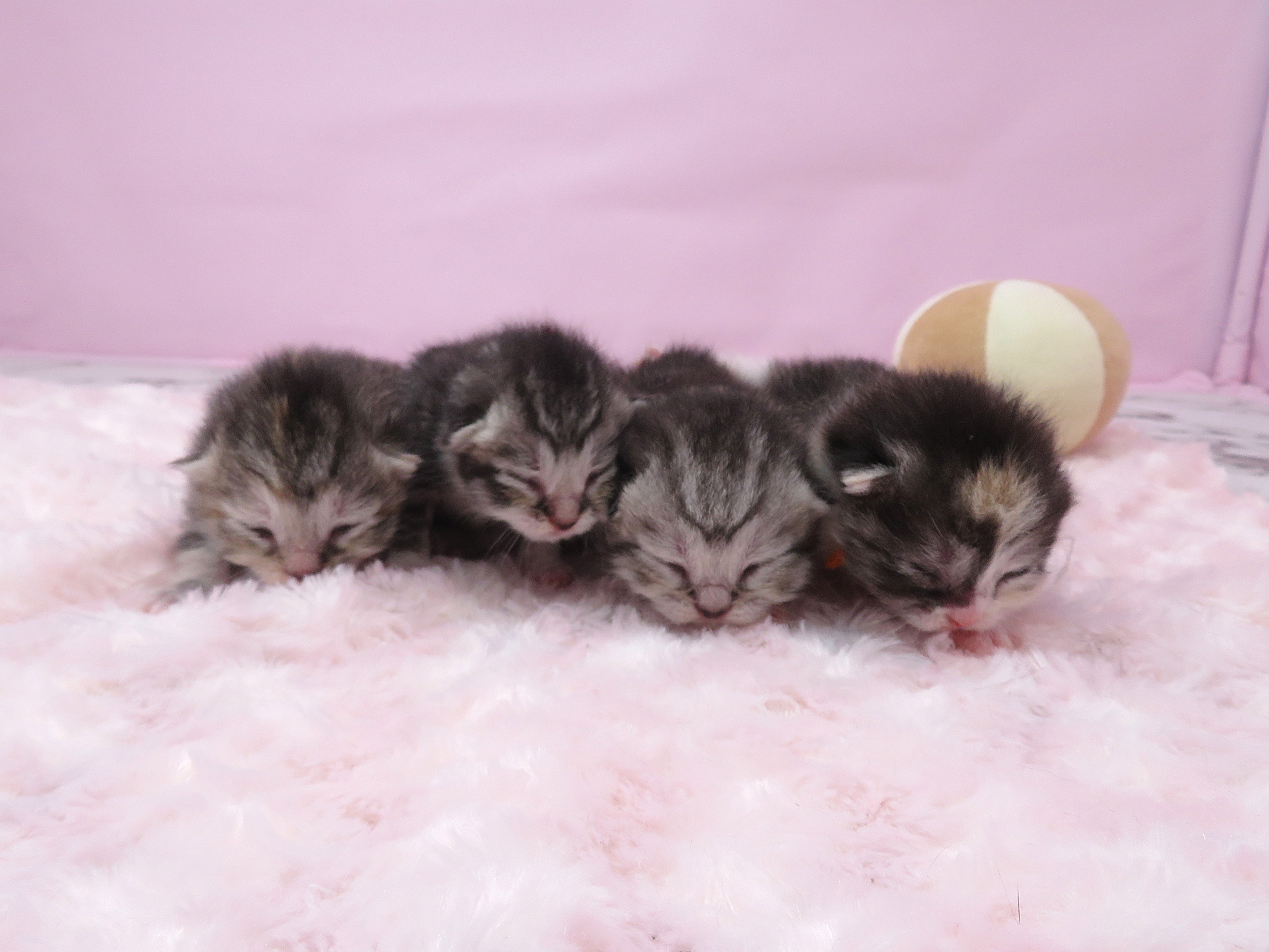赤ちゃん写真1-3