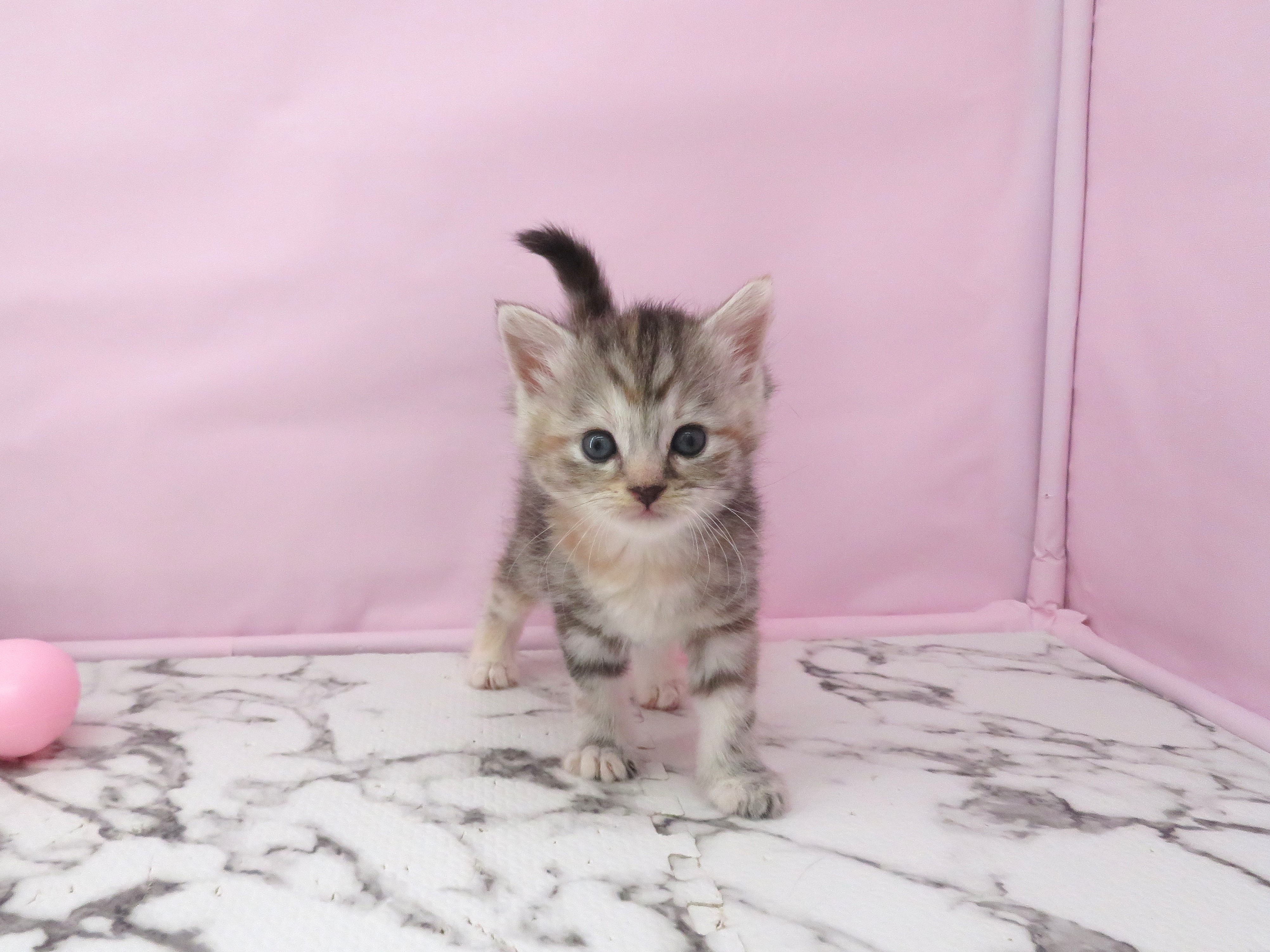 赤ちゃん写真2-1
