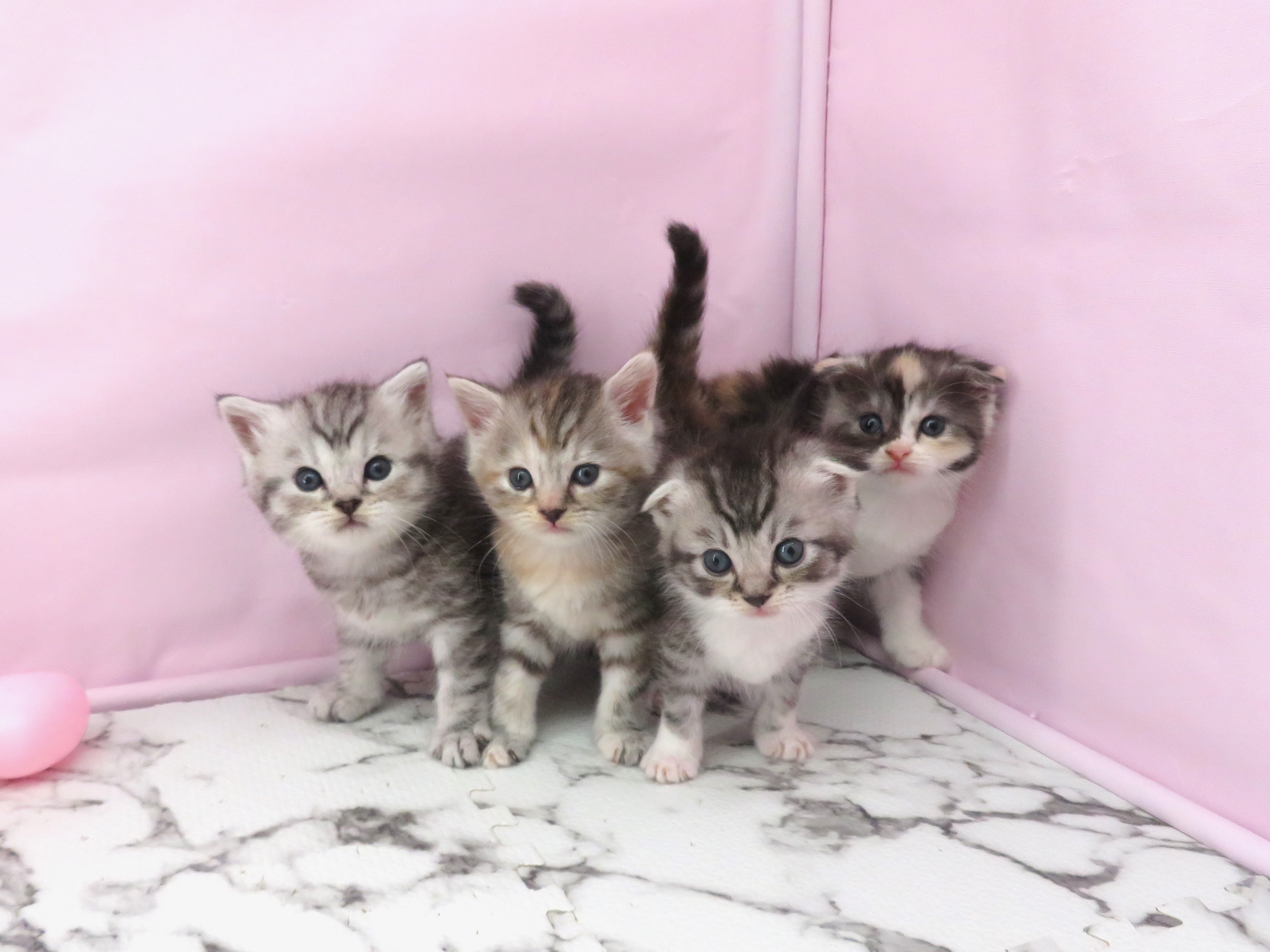 赤ちゃん写真2-3