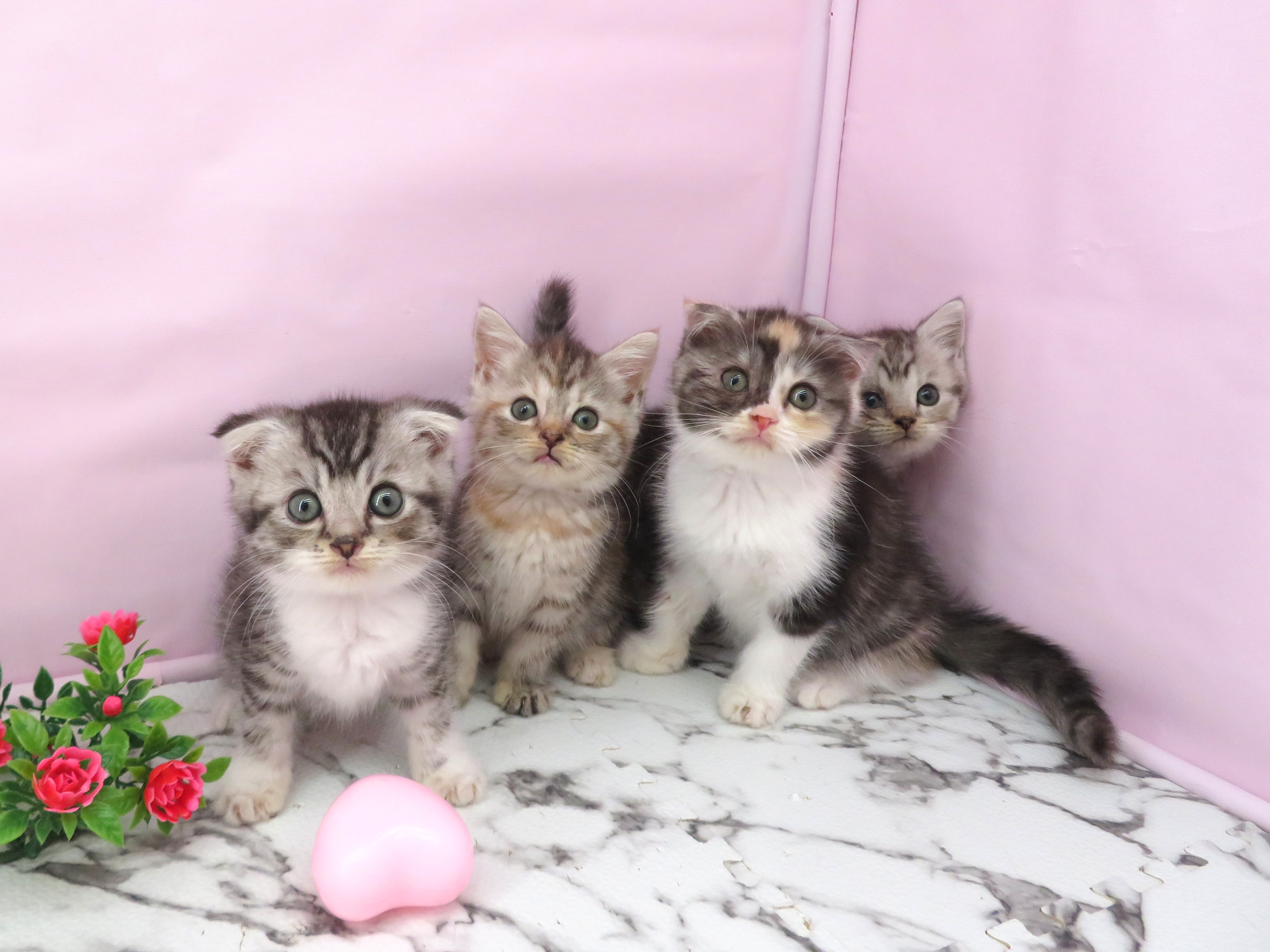赤ちゃん写真3-3
