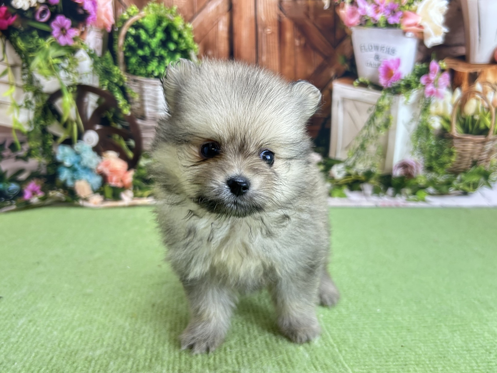 赤ちゃん写真2-1