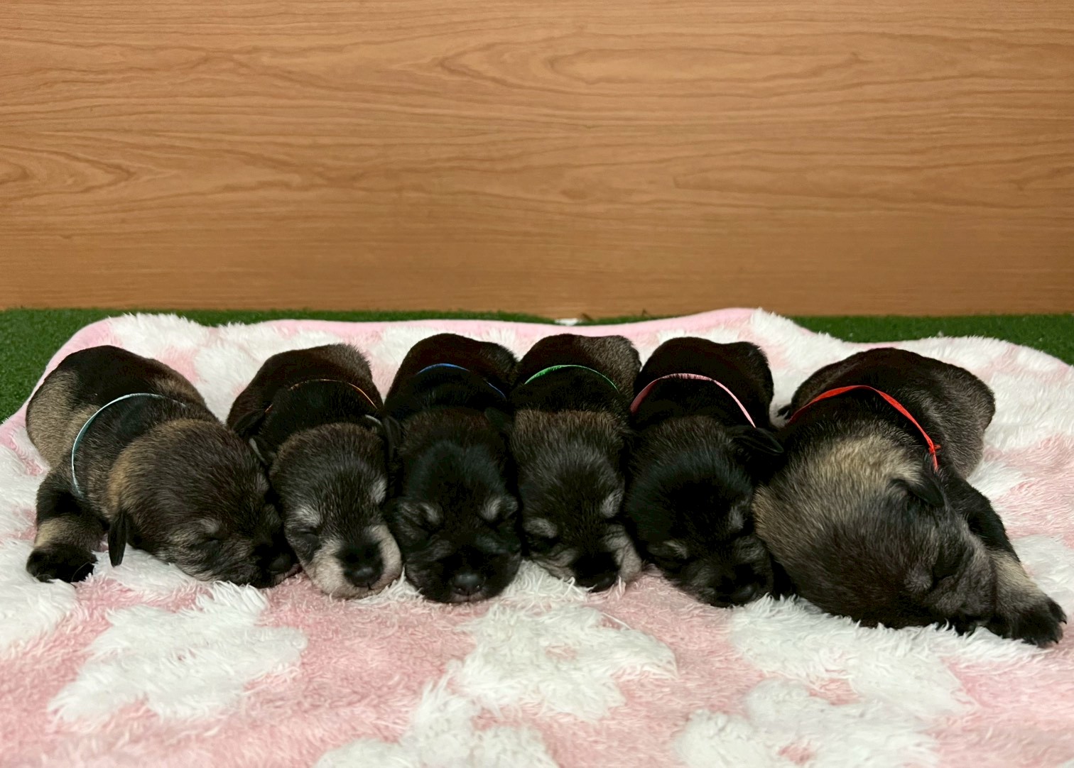 赤ちゃん写真1-3