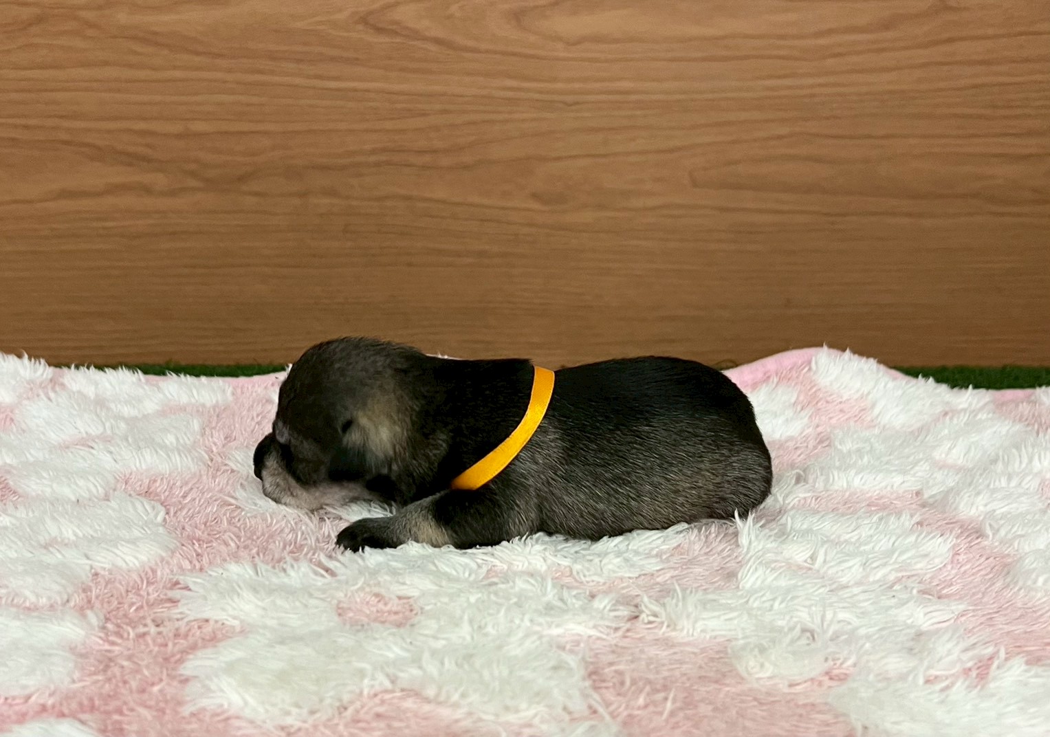 赤ちゃん写真1-2