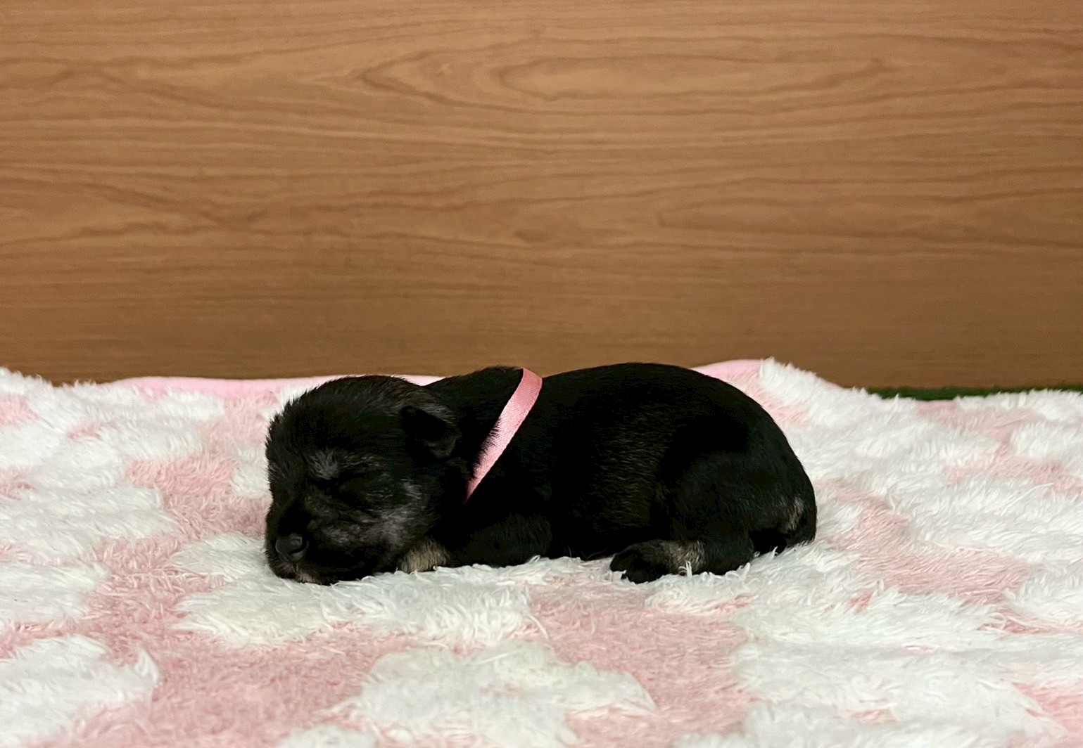 赤ちゃん写真1-2