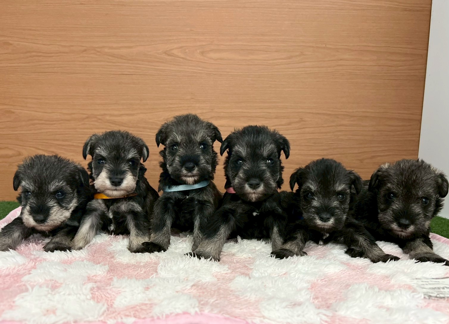 赤ちゃん写真2-3