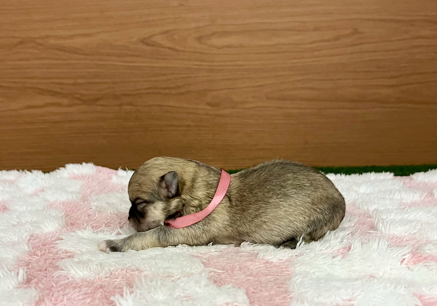赤ちゃん写真1-2