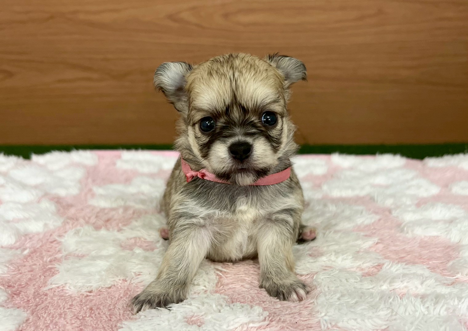 赤ちゃん写真2-1