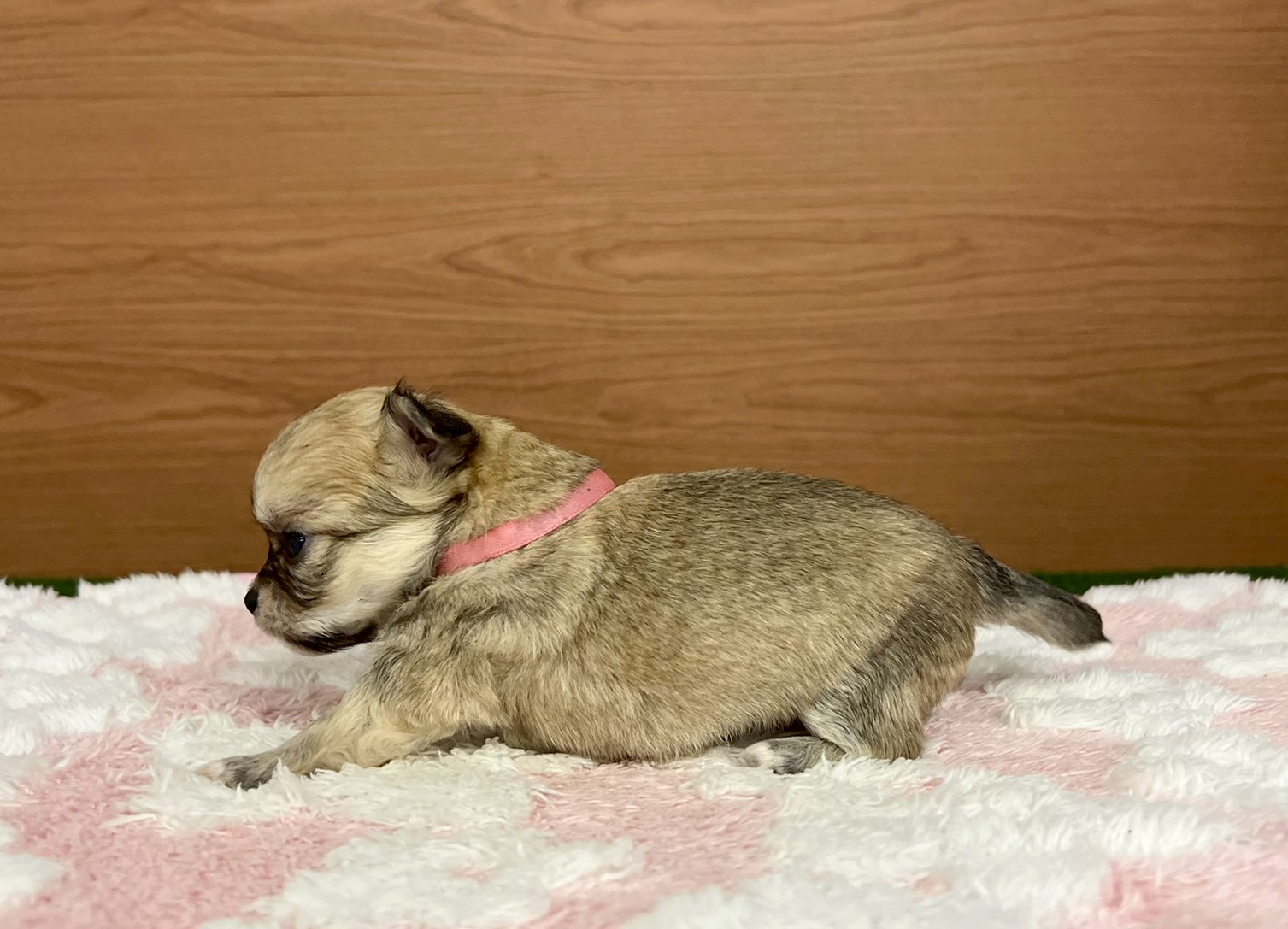 赤ちゃん写真2-2