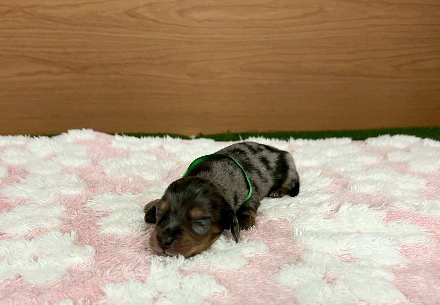 赤ちゃん写真1-1