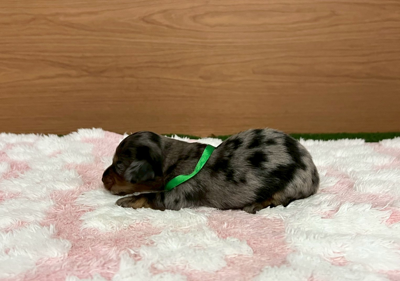 赤ちゃん写真1-2
