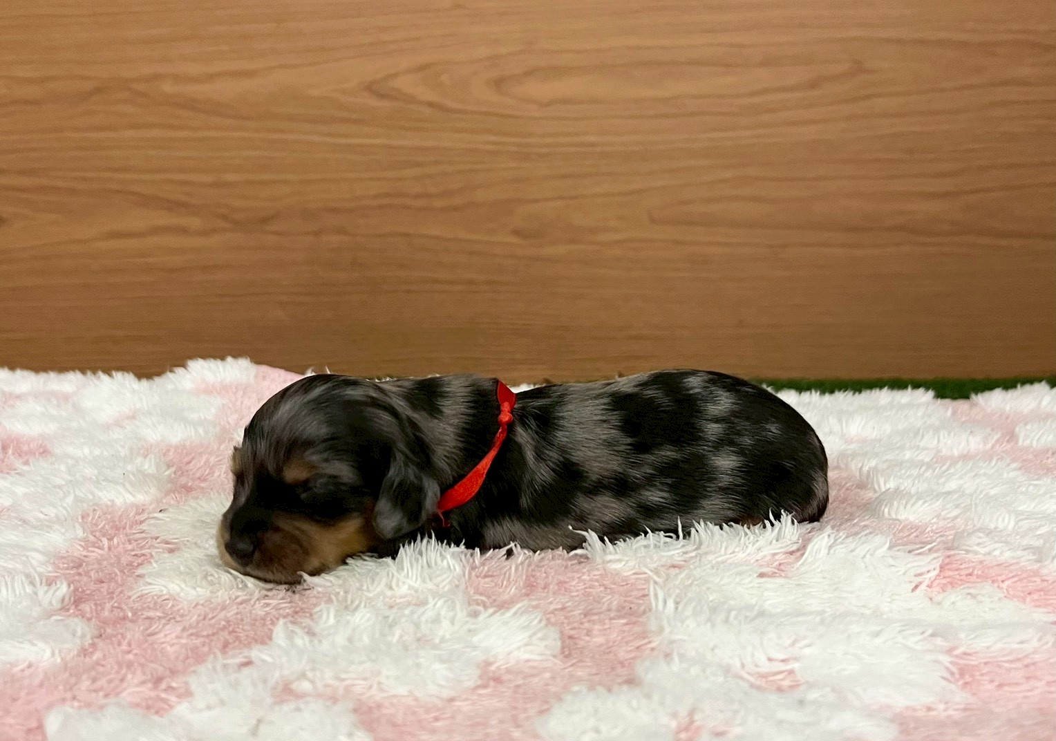 赤ちゃん写真1-2