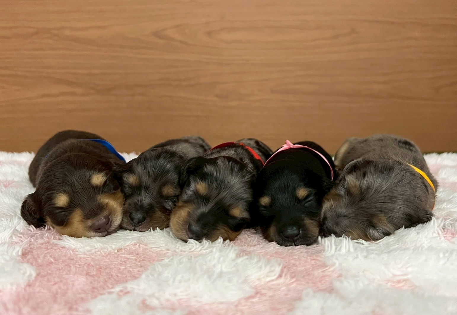 赤ちゃん写真1-3