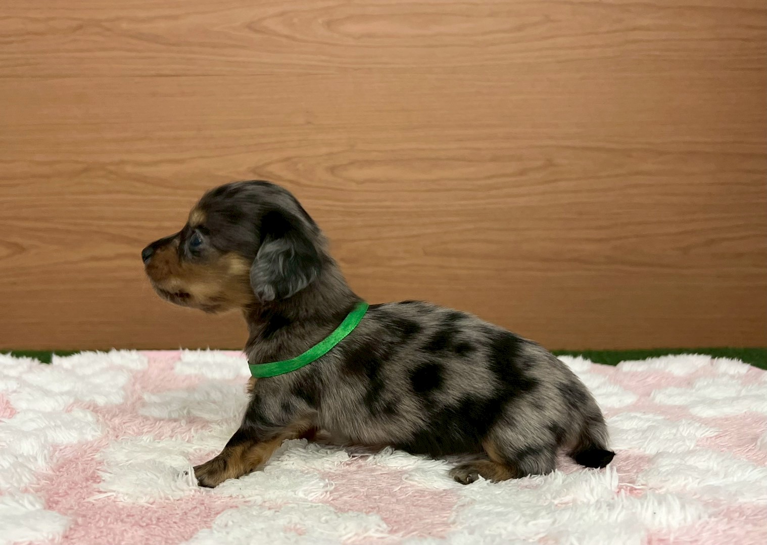 赤ちゃん写真2-2