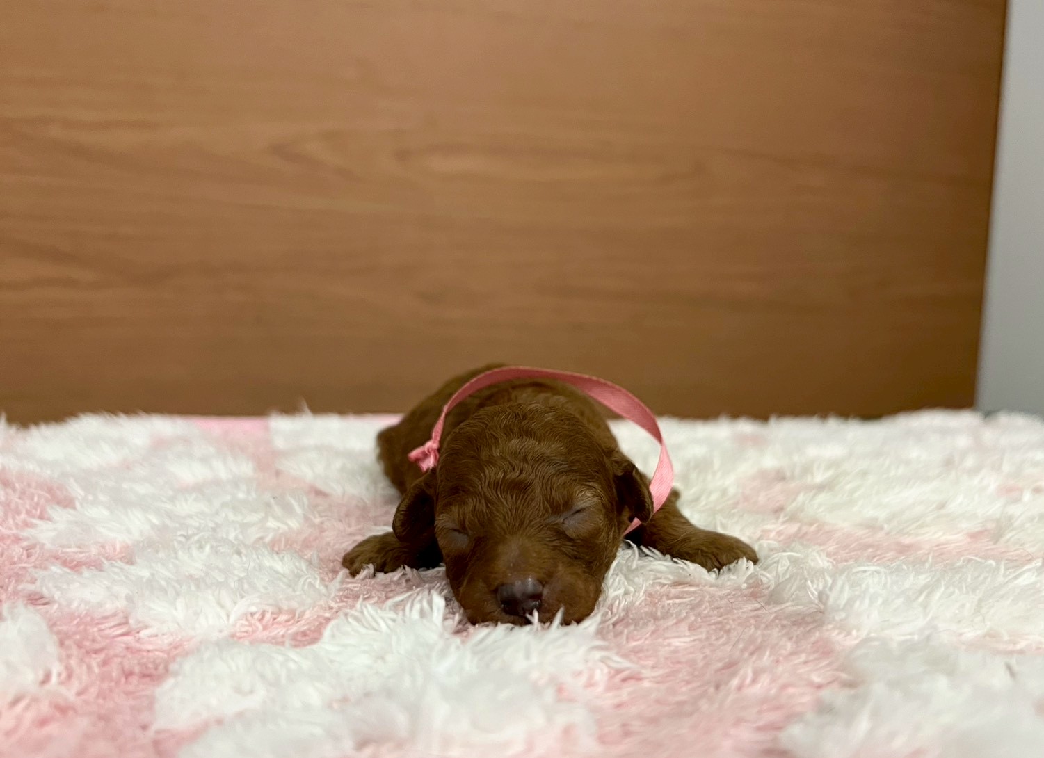 赤ちゃん写真1-1