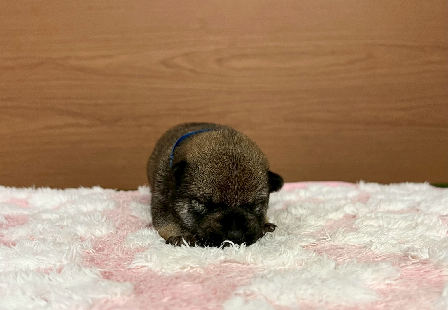 赤ちゃん写真1-1