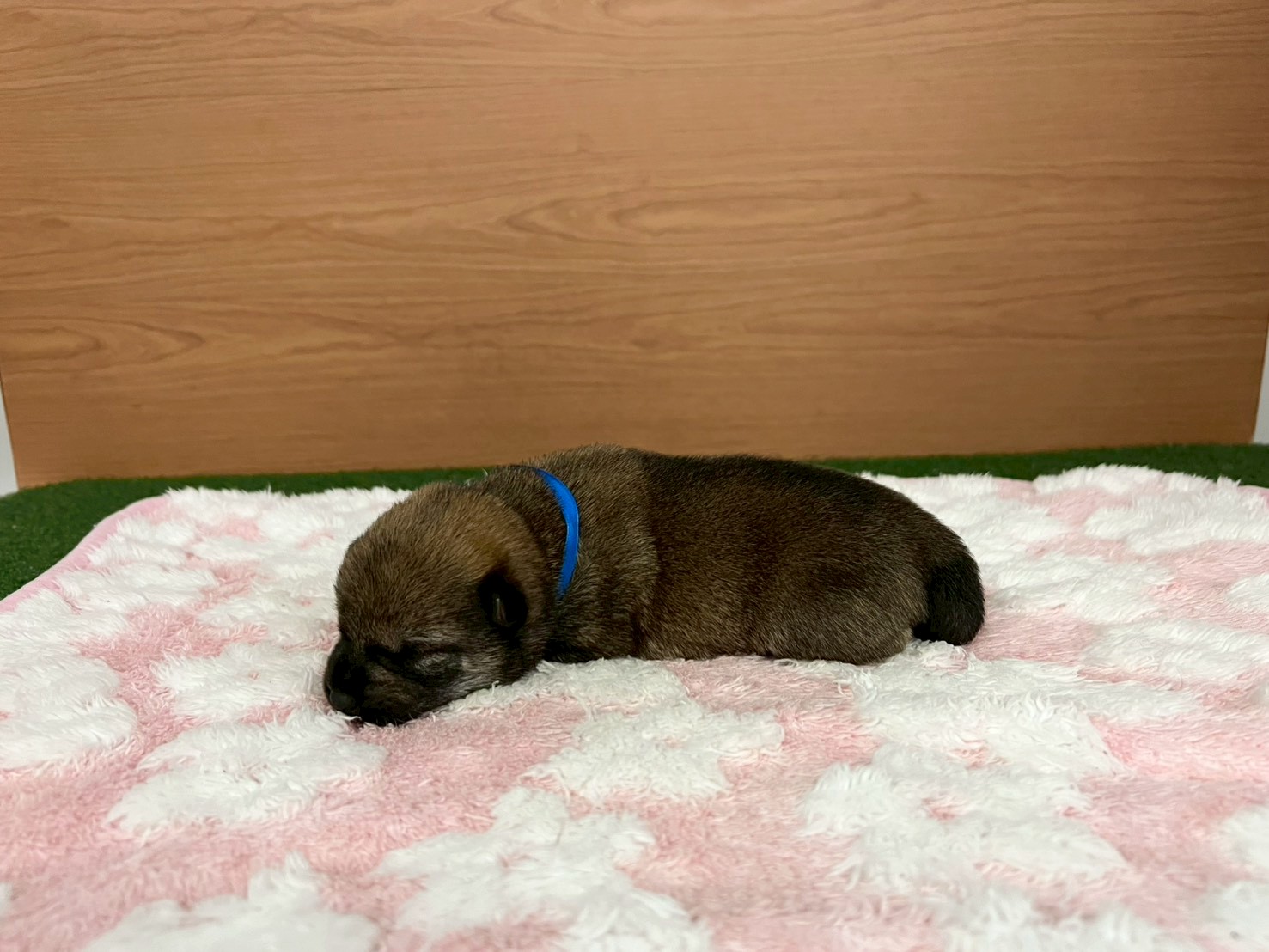赤ちゃん写真1-2