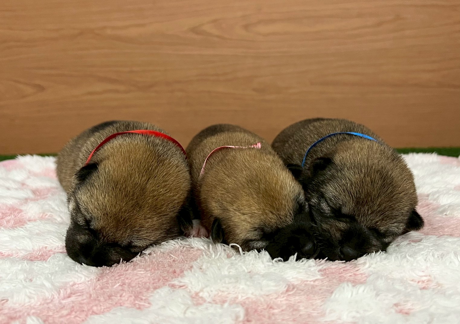 赤ちゃん写真1-3