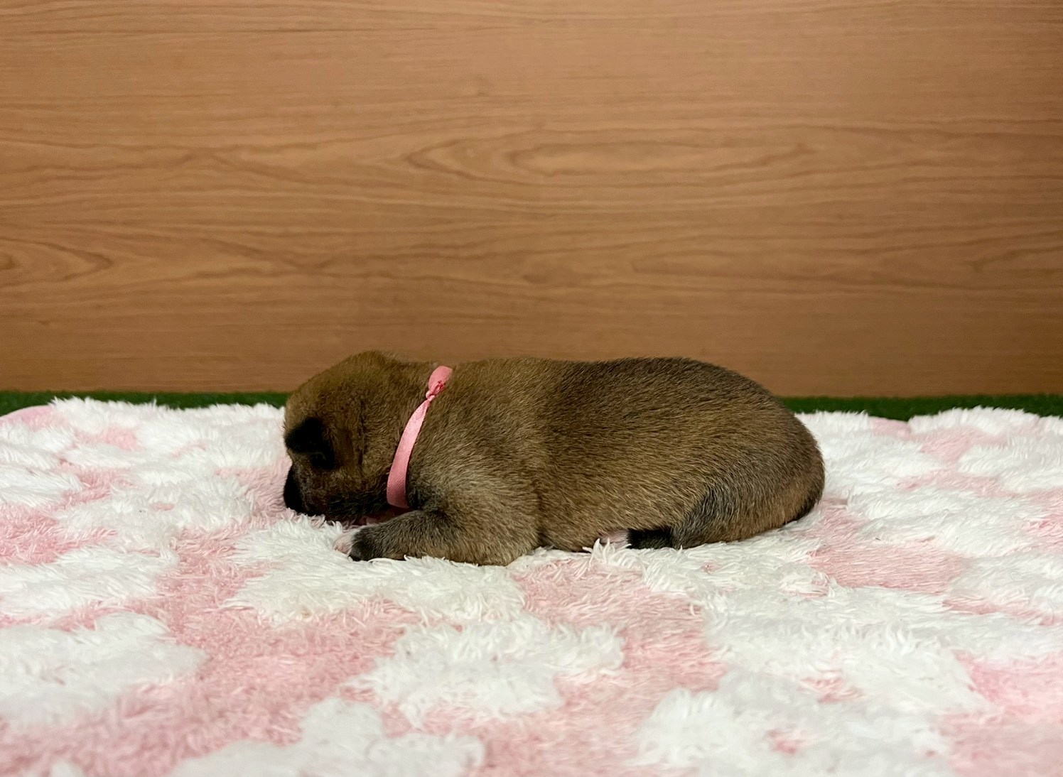 赤ちゃん写真1-2